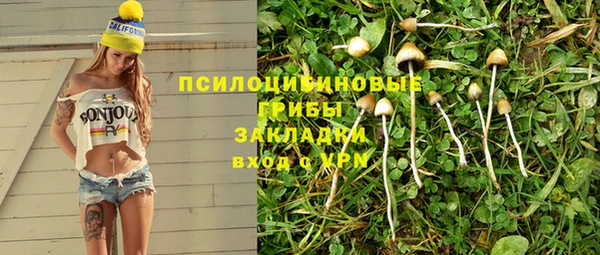 apvp Волоколамск